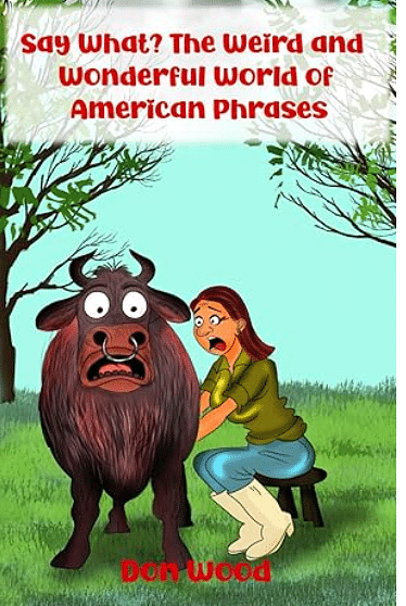 The Weird and Wonderful World of American Phrases - Growth Marketing
