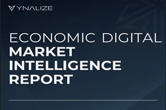 Market Decision Intelligence Report - Market Research