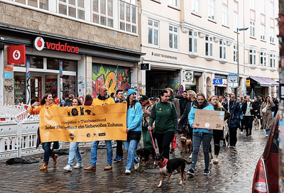 Pedigree Paw Parade - Öffentlichkeitsarbeit (PR)