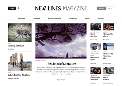 Custom WordPress Development for a News Publisher - Creación de Sitios Web