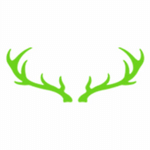 Black Forest Studios logo