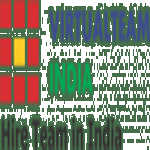 Virtual Team India