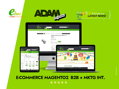 B2B | Magento2  e-commerce + Marketing -  Analítica Web/Big data