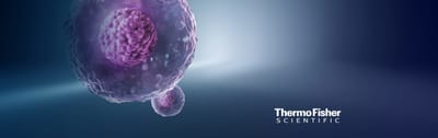 Thermo Fisher – Connections for Life - Branding & Positioning