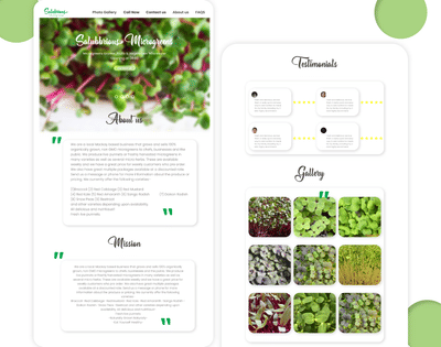 Website Development - Website Creation