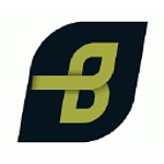 BI System Builders Ltd