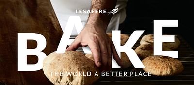 Lesaffre Group - Social Media Marketing - Werbung