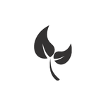 Lanky willow logo