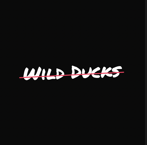 Wild Ducks