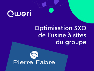 Optimisation SXO de l'usine à sites du groupe - Data Consulting