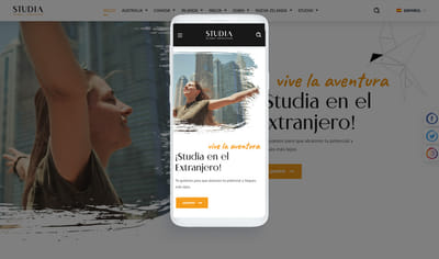 Desarrollo web y estrategia digital - Webseitengestaltung