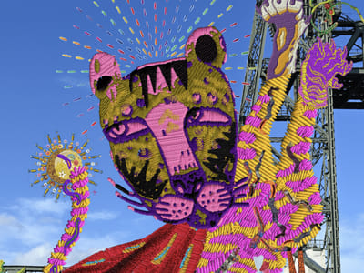 IFFR: Rotterdam-born, robust, and ready for peak performance - Website Creation