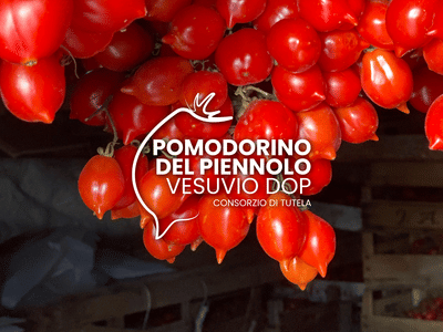 Consorzio Tutela Pomodorino Piennolo del Vesuvio - Social Media