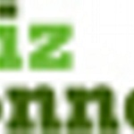 BizConnect LLC logo
