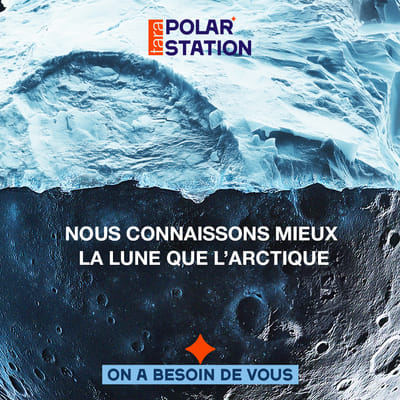 Stratégie Social Media - Tara - Réseaux sociaux