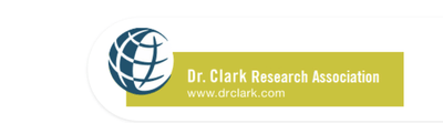 Digital Growth Manager for Dr. Clark Research Assn. - Étude de marché