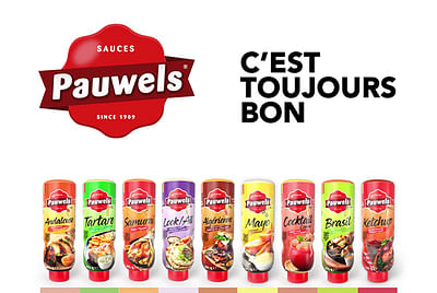 +18% ad recall with Youtube ads for Pauwels Sauzen - Digital Strategy