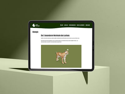 WWF Deutschland – Website mit 3D/AR-Modell - Webseitengestaltung