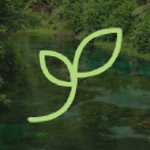 Kiwisprout logo