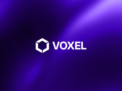 Voxel AI - Branding & Visual Identity - Social media