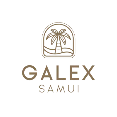 A New Identity and Website for GalexSamui - Publicité en ligne