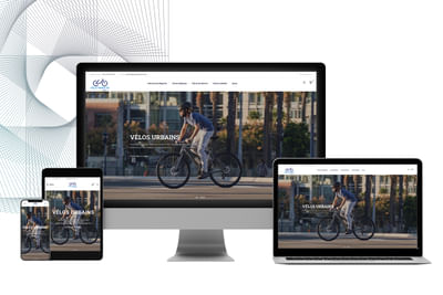 Site e-commerce - Giant Paris 12 - Stratégie digitale