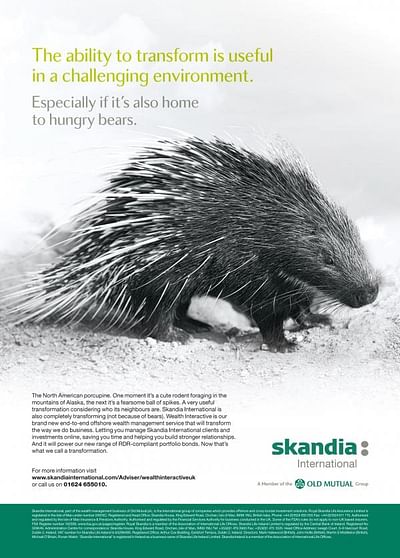 Porcupine - Werbung