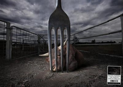 COW - Advertising