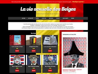 Site de vente en ligne pour l'artiste Jan Bucquoy - Webseitengestaltung