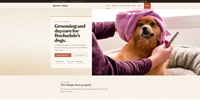 A concept site for a dog grooming and daycare studio - Website Creation