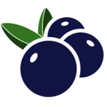 BidBerry s.r.l. logo