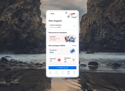 Carrefour - Software Ontwikkeling