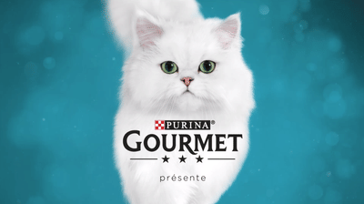 Les Fééries étoilées Gourmet - Activation in-store - Content Strategy