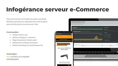 Infogérance serveur e-Commerce - Web Applicatie