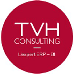 TVH Consulting