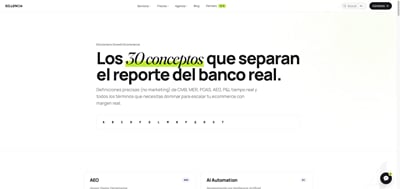 Diccionario Growth Ecommerce: 30 conceptos de rentabilidad - SEO