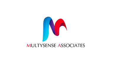 Multysense Pvt Ltd - Webanwendung