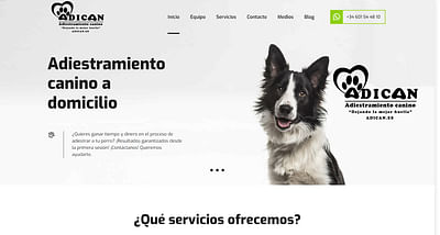 Marketing y Publicidad - Adiestramiento Canino - Publicité en ligne