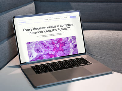 StratifAI — Website Creation - Website Creation