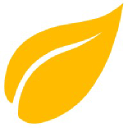 Yellowleaf logo