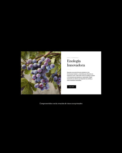 Diseño web Bodega - Création de site internet