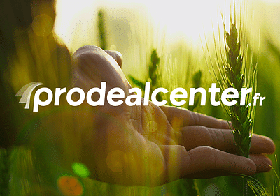 Prodealcenter.fr - E-commerce