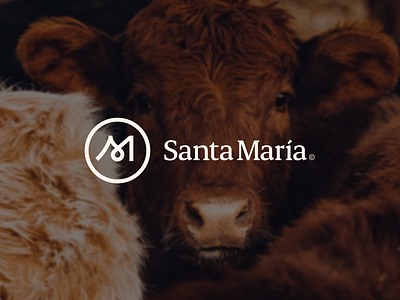 Branding y Desarrollo web para Santa Maria - Creación de Sitios Web