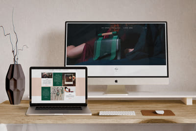 Maglone - Repositionnement et lancement - Image de marque & branding