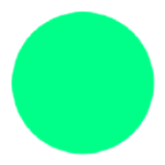 STUDIO NEO