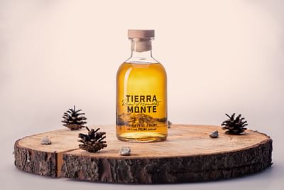 Branding Rum Moments for Tierra Monte - Stratégie de contenu
