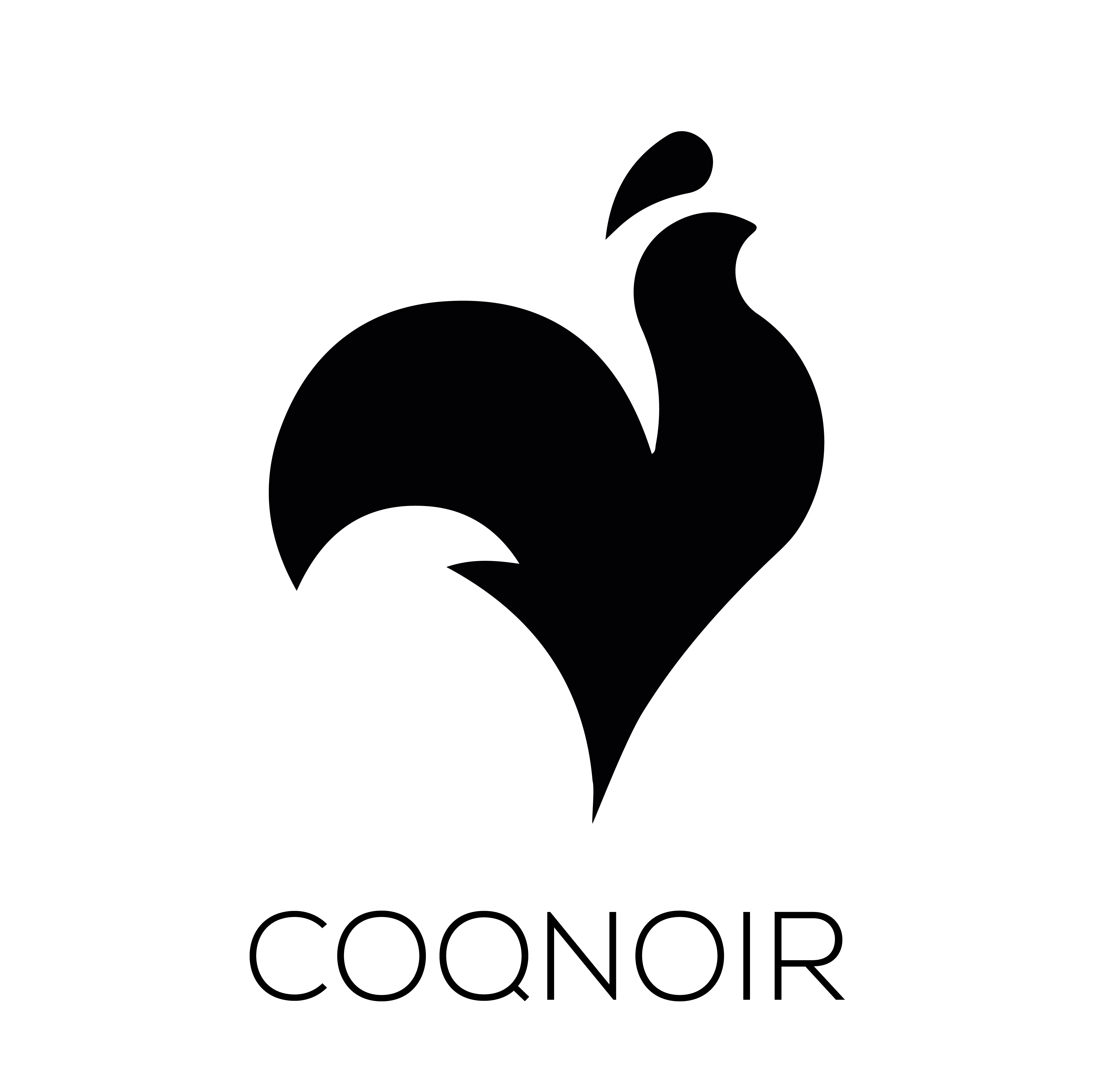 Agence Audiovisuelle Coq Noir