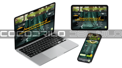 CREATION SITE WEB VITRINE PLAYLINKER - Grafische Identiteit