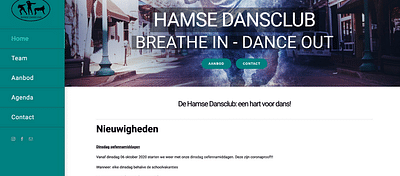 WEBSITE HAMSE DANSCLUB - Website Creation