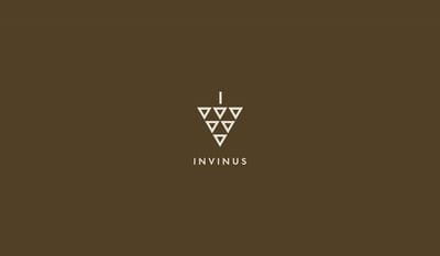 INVINUS - Estrategia digital